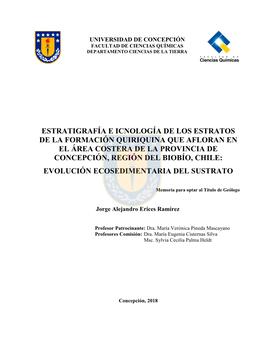 Estratigrafía E Icnología De Los Estratos De La