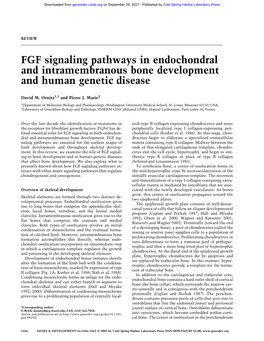 FGF Signaling Pathways in Endochondral and Intramembranous Bone Development and Human Genetic Disease