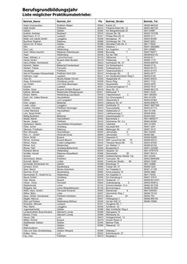 Berufsgrundbildungsjahr Liste Möglicher Praktikumsbetriebe