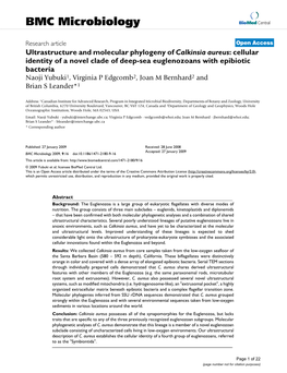 Ultrastructure and Molecular Phylogeny of Calkinsia Aureus