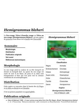 Hemigrammus Bleheri