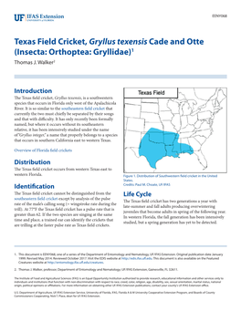 Texas Field Cricket, Gryllus Texensis Cade and Otte (Insecta: Orthoptea: Gryllidae)1 Thomas J