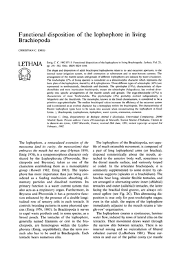 Functional Disposition of the Lophophore in Living Brachiopoda