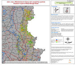 Jute Crop Affected Due to Heavy Rain Caused by Cyclone Amphan in Part