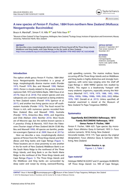A New Species of Penion P. Fischer, 1884 from Northern New Zealand (Mollusca: Neogastropoda: Buccinoidea) Bruce A