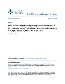 Racial/Ethnic Identity Modeling