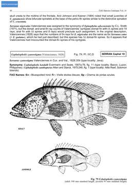 Noted That Small Juveniles of C. Panamensis Show Bifurcate Spinelets at the Base of the Pelvic-Fin Spines Similar to the Distinctive Spination of C