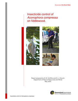 Insecticide Control of Aconophora Compressa on Fiddlewood