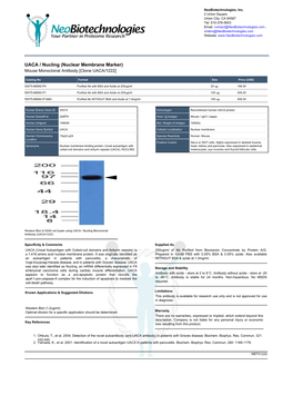 UACA / Nucling (Nuclear Membrane Marker) Mouse Monoclonal Antibody [Clone UACA/1222]