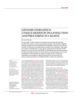 Genome Gymnastics: Unique Modes of Dna Evolution and Processing in Ciliates