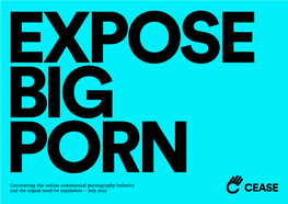 Expose Big Porn Report
