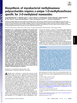 Biosynthesis of Mycobacterial Methylmannose Polysaccharides Requires a Unique 1-O-Methyltransferase Specific for 3-O-Methylated Mannosides