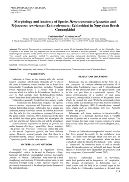 Morphology and Anatomy of Species Heterocentrotus Trigonarius and Tripneustes Ventricosus (Echinodermata: Echinoidea) in Nguyahan Beach Gunungkidul