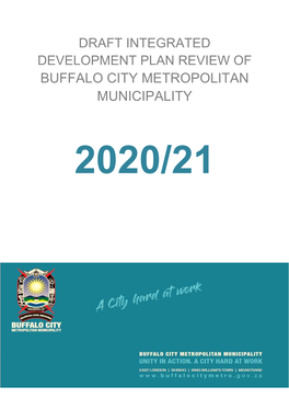 Situational Analysis/Buffalo City Metropolitan