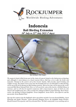 Indonesia Bali Birding Extension 16Th July to 22Nd July 2021 (7 Days)