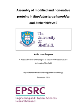 Rhodobacter Sphaeroides and Escherichia Coli