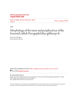 Morphology of the Inner and Peripheral Ear of the Loricariid Catfish Pterygoplichthys Gibbiceps K. Brian David Rodgers Western Kentucky University