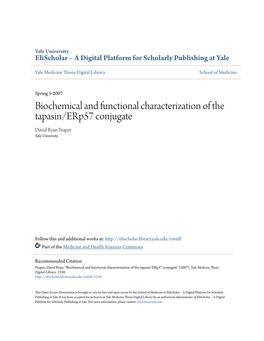 Elischolar – a Digital Platform for Scholarly Publishing at Yale