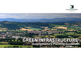 Green Infrastructure Vision for Monmouthshire