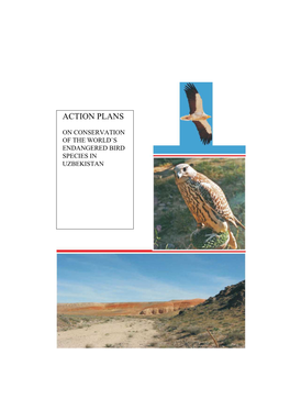 Download Action Plan In