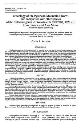 Osteology of the Pyrenean Mountain Lizards and Comparison with Other Species of the Collective Genus Archaeolacerta MERTENS, 1921 S