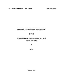 Program Performance Audit Report