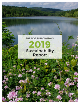 Sustainability Report 2019