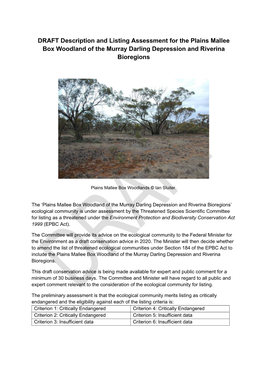 DRAFT Description and Listing Assessment for the Plains Mallee Box Woodland of the Murray Darling Depression and Riverina Bioregions