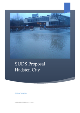 SUDS Proposal Hadsten City