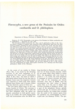 Flavoscypha, a New Genus of the Pezizales for Otidea Cantharella and 0