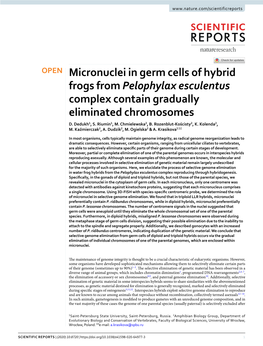 Micronuclei in Germ Cells of Hybrid Frogs from Pelophylax Esculentus Complex Contain Gradually Eliminated Chromosomes D