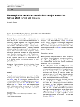 Photorespiration and Nitrate Assimilation: a Major Intersection Between Plant Carbon and Nitrogen