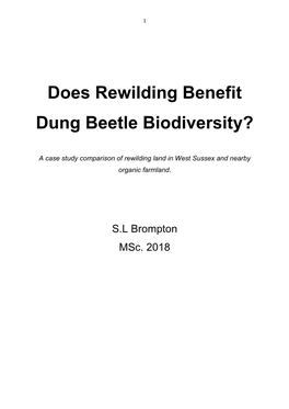 Does Rewilding Benefit Dung Beetle Biodiversity?