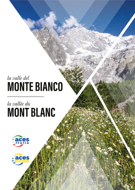 Monte Bianco Mont Blanc