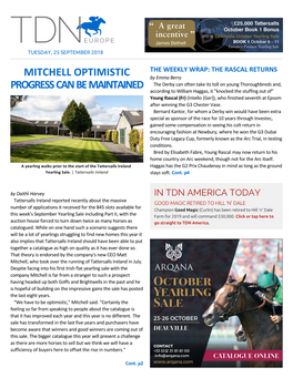 Mitchell Optimistic Progress Can Be Maintained