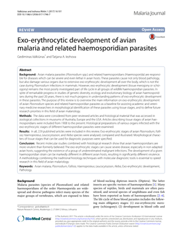 Exo-Erythrocytic Development of Avian Malaria and Related