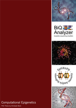 Biq Analyzer: Visualization and Quality Control for DNA Methylation Data from Bisulfite Sequencing