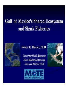 Gulf of Mexico's Shared Ecosystem and Shark Fisheries