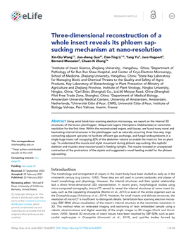 Three-Dimensional Reconstruction of a Whole Insect Reveals Its Phloem Sap