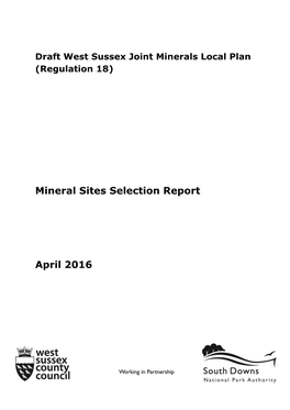 Mineral Sites Selection Report