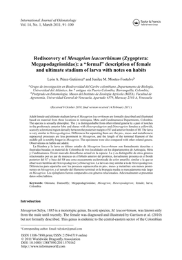 (Zygoptera: Megapodagrionidae): a “Formal” Description of Female and Ultimate Stadium of Larva with Notes on Habits