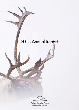 2015 Annual Report