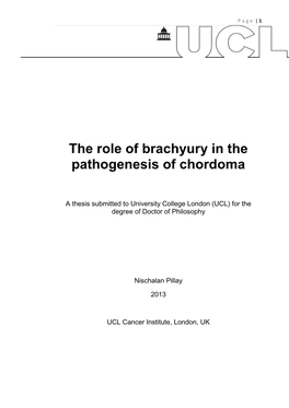 The Role of Brachyury in the Pathogenesis of Chordoma