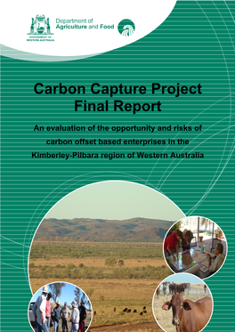 Carbon Capture Project Final Report