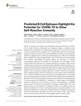 Predicted B Cell Epitopes Highlight the Potential for COVID-19 to Drive Self-Reactive Immunity
