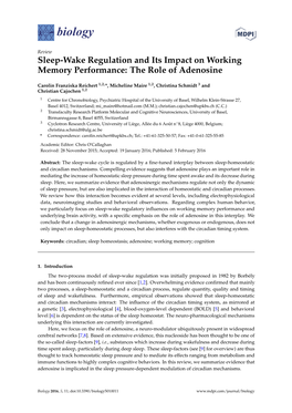 Sleep-Wake Regulation and Its Impact on Working Memory Performance: the Role of Adenosine