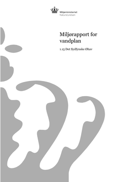 Miljørapport for Vandplan