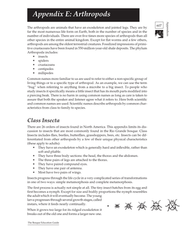 Appendix E: Arthropods Appendices 607 the Arthropods Are Animals That Have an Exoskeleton and Jointed Legs