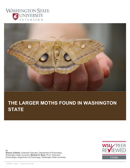 The Larger Moths Found in Washington State