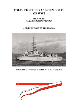 Polish Torpedo and Gun Boats of Ww2